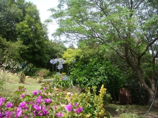 Whittlers Lodge Hout Bay